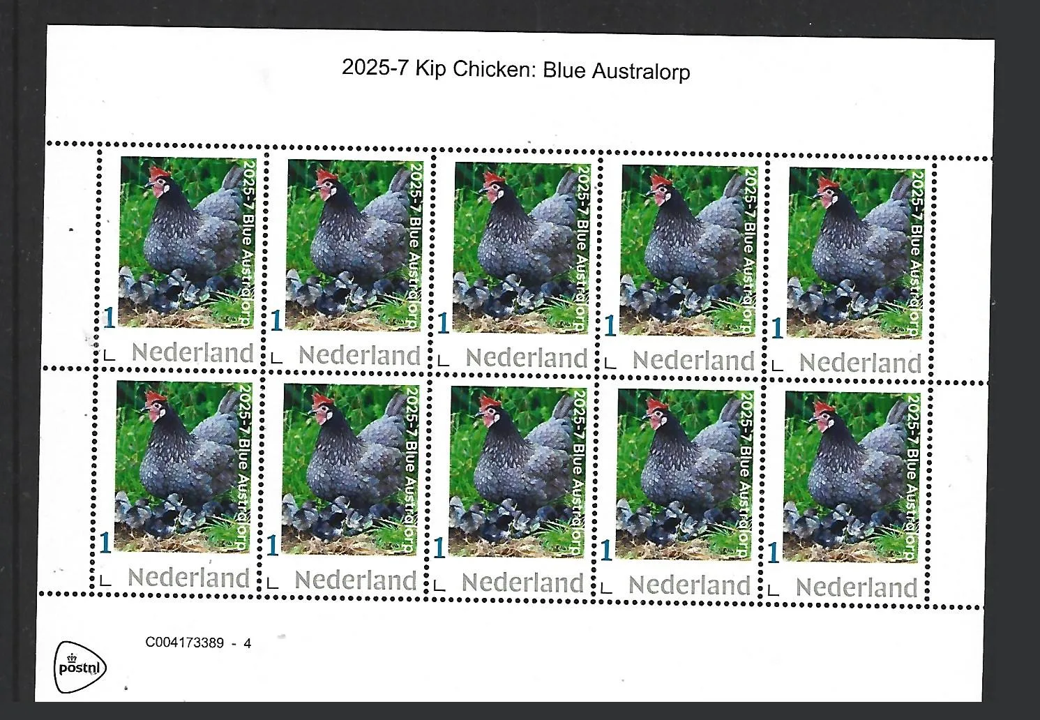 Nederland 2025-7 Kip Chicken: Blue Australorp sheet postfris/mnh