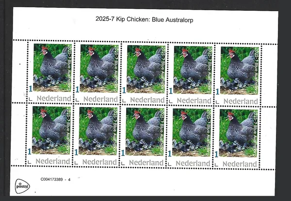 Nederland 2025-7 Kip Chicken: Blue Australorp sheet postfris/mnh