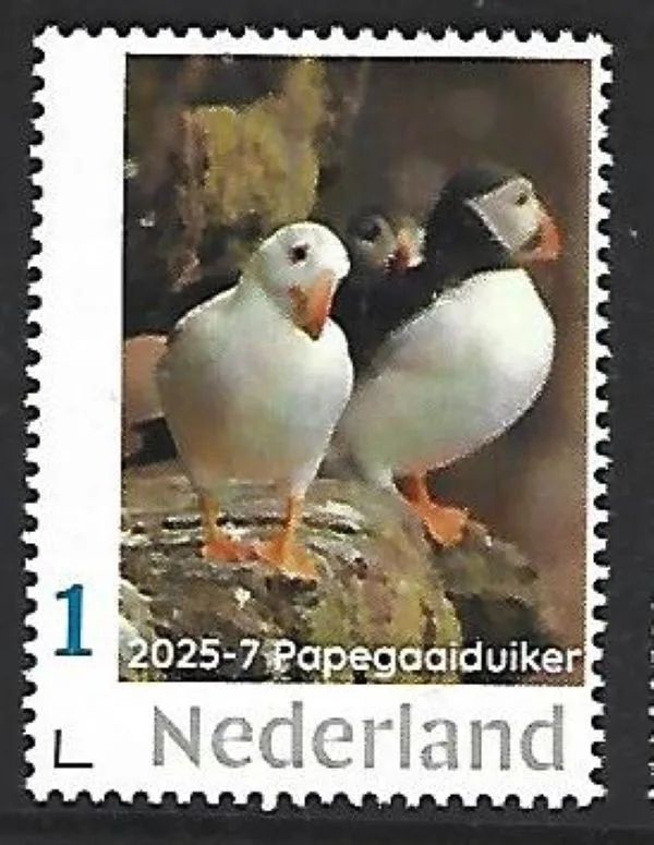 Nederland 2025-7 Papegaaiduiker puffin: rare white puffin postfris/mnh