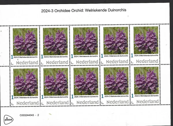 Nederland 2024-3 Orchidee Orchid: Welriekende Duinorchis sheetlet postfris/mnh