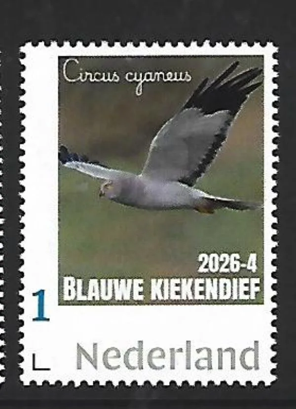 Netherlands 2026-4 Bird raptor; bl. Hen Harrier MNH