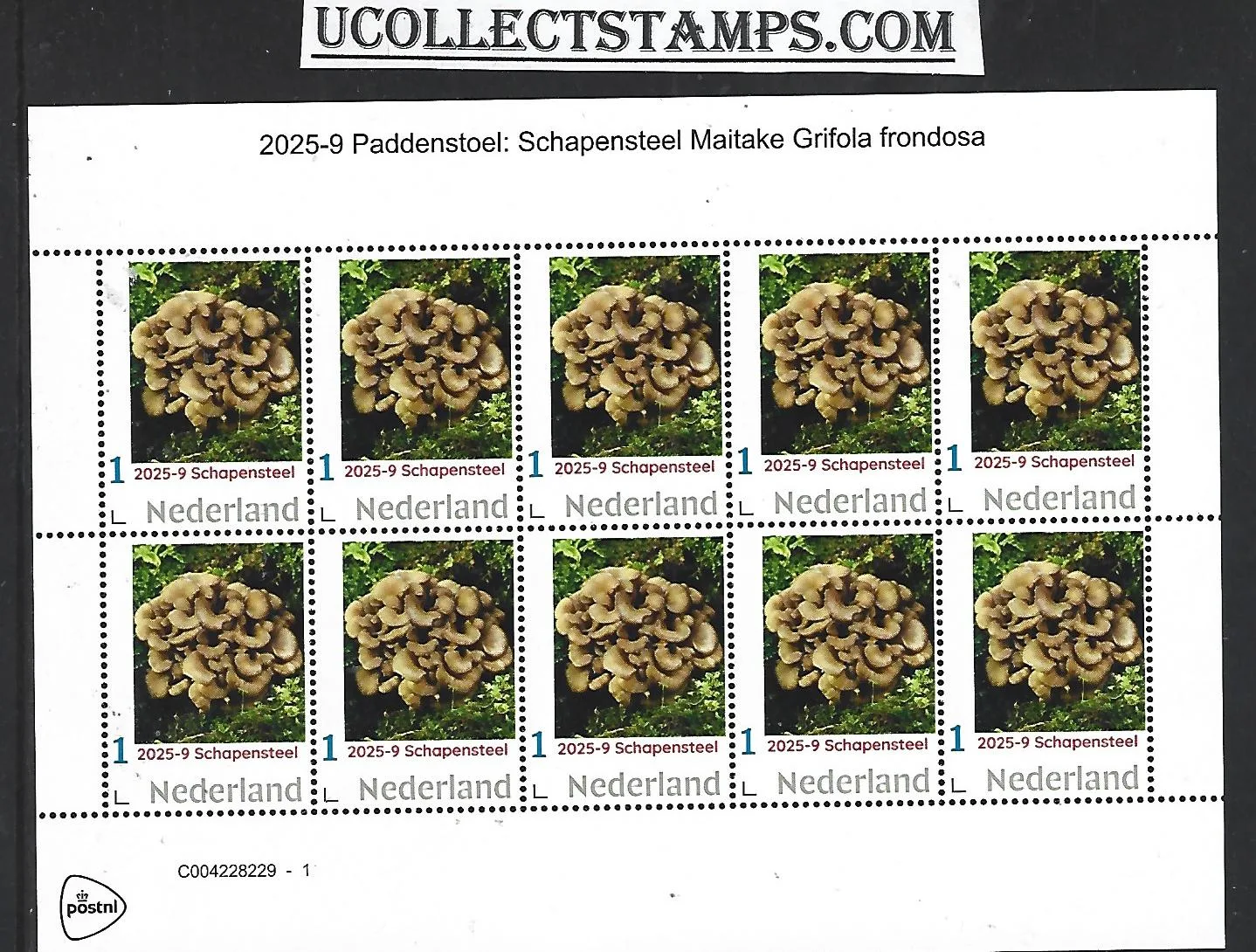 Netherlands 2025-9 Mushroom: Sheep Polypore Maitake sheet MNH