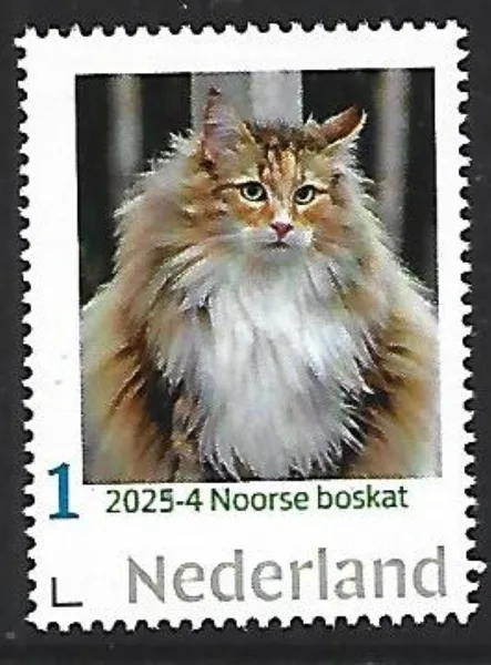 Netherlands 2025-4 Cat: Norwegian Forest Cat MNH