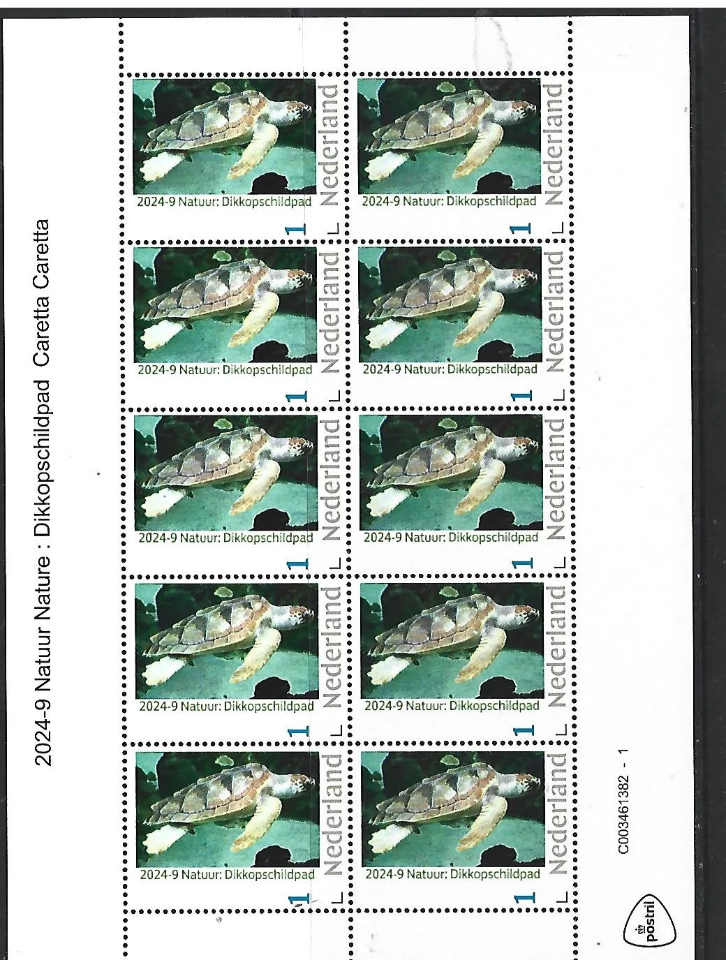 Nederland 2024-9 Natuur Nature: Dikkopschildpad turtle sheetlet postfris/mnh