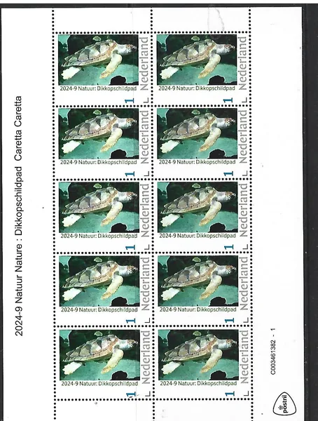 Nederland 2024-9 Natuur Nature: Dikkopschildpad turtle sheetlet postfris/mnh
