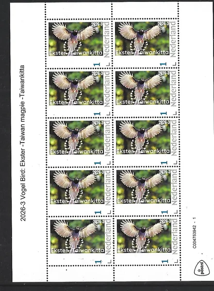 Netherlands 2026-3 Bird: Magpie Taiwankitta sheet MNH