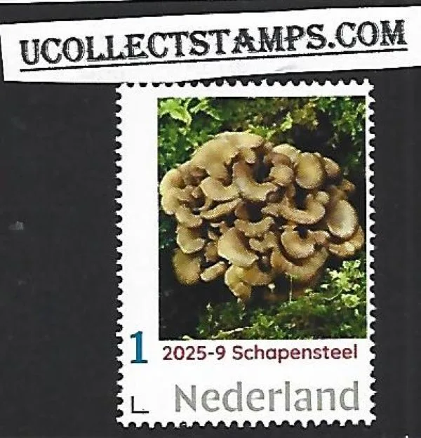 Netherlands 2025-9 Mushroom: Maitake unmounted MNH