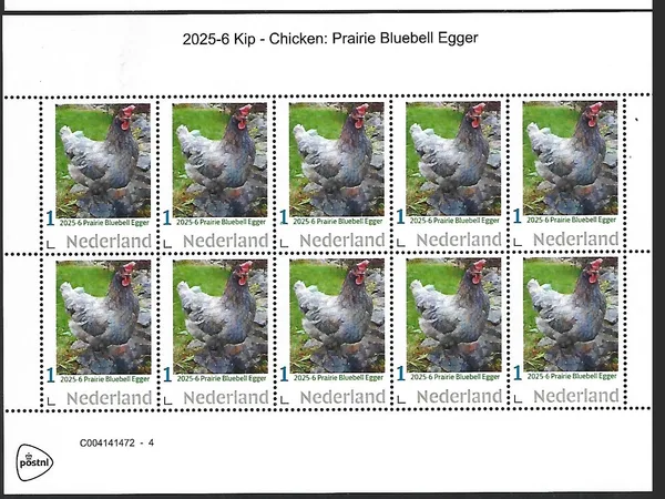 Nederland 2025-6 Kip Chicken; Prairie Bluebell egger sheetlet postfris/mnh