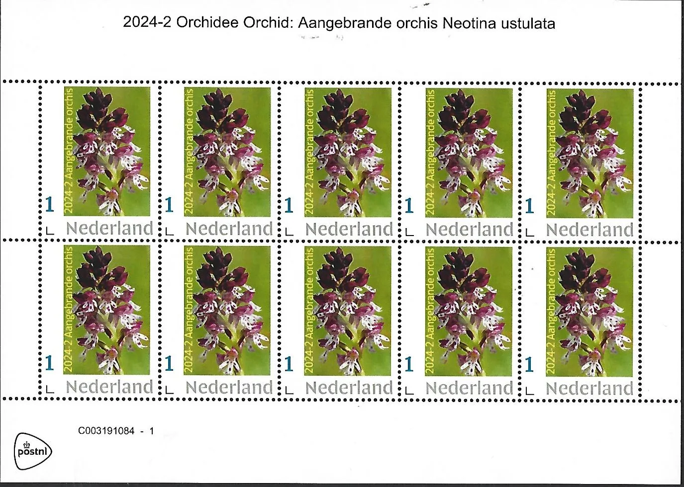 Pays-Bas 2024-2 Orchidée Orchid : Orchis brûlée feuillet neuf/mnh