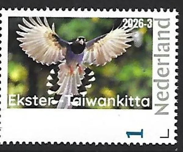 Nederland 2026-3 Vogel Bird: Ekster Taiwankitta postfris/mnh