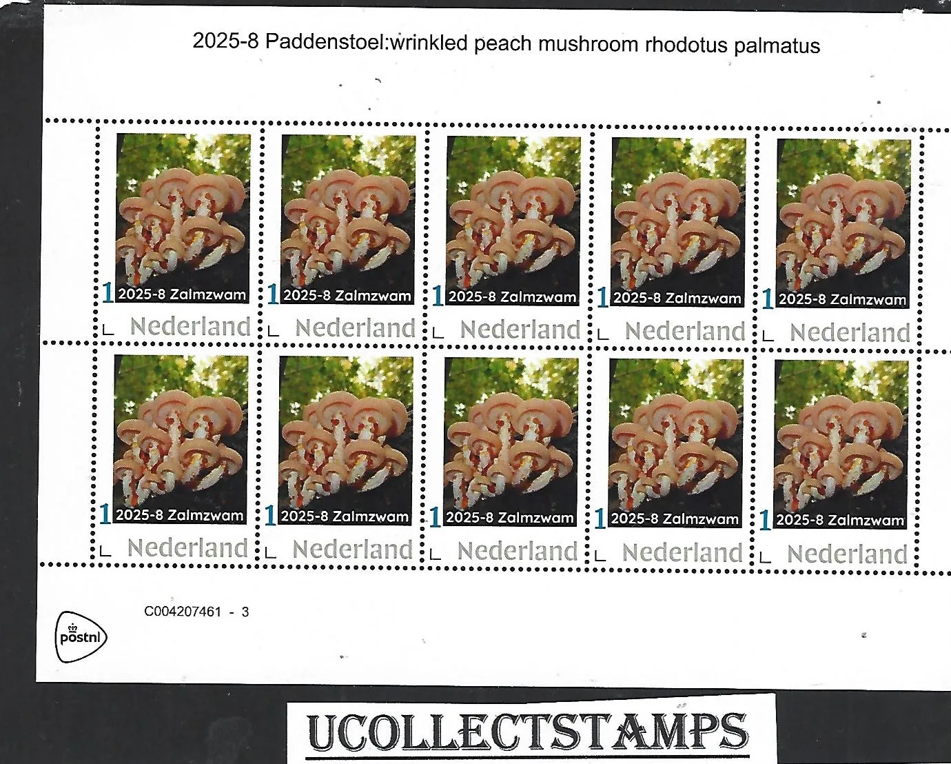 Nederland 2025-8 Paddenstoel Mushroom: Zalmzwam Wrinkled peach sheet postfris/mnh