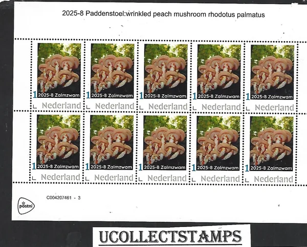 Nederland 2025-8 Paddenstoel Mushroom: Zalmzwam Wrinkled peach sheet postfris/mnh