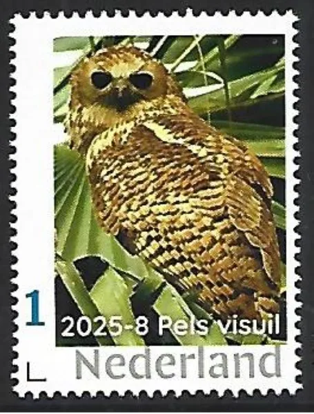 Netherlands 2025-8 Eagle Owl: Barn Owl MNH
