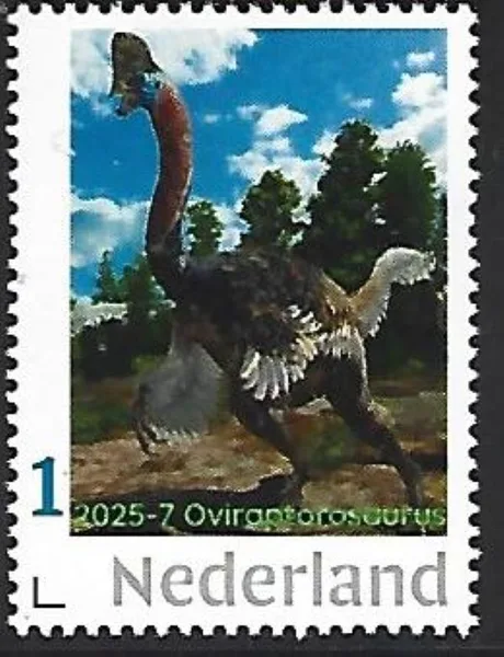 Netherlands 2025-7 Prehistory: Overaptorosaurus MNH