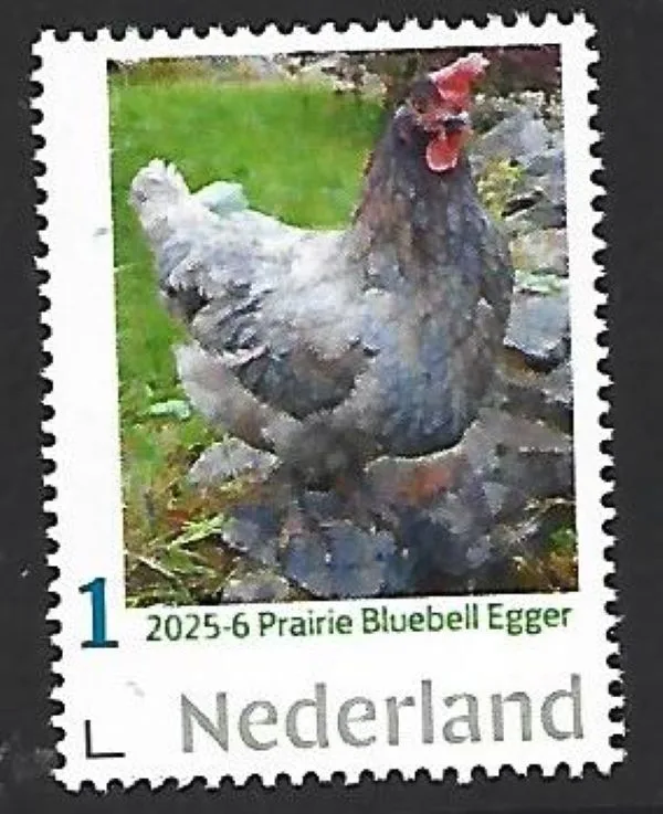 Netherlands 2025-6 Kip Chicken; Prairie Bluebell egger MNH/never hinged