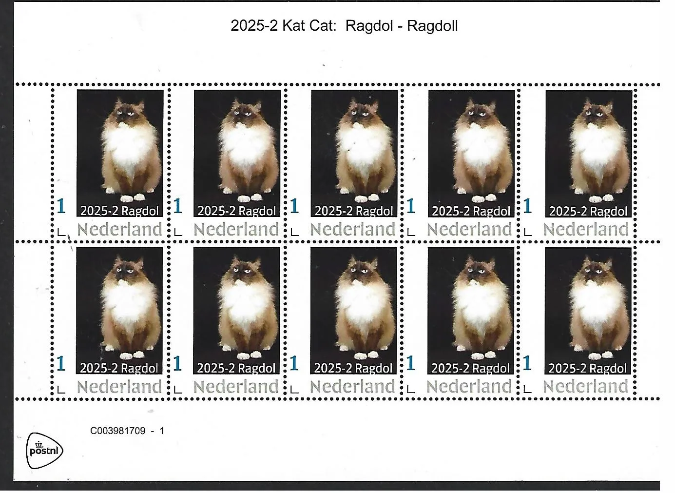 Nederland 2025-2 Kat Cat: Ragdol Ragdoll sheet postfris/mnh