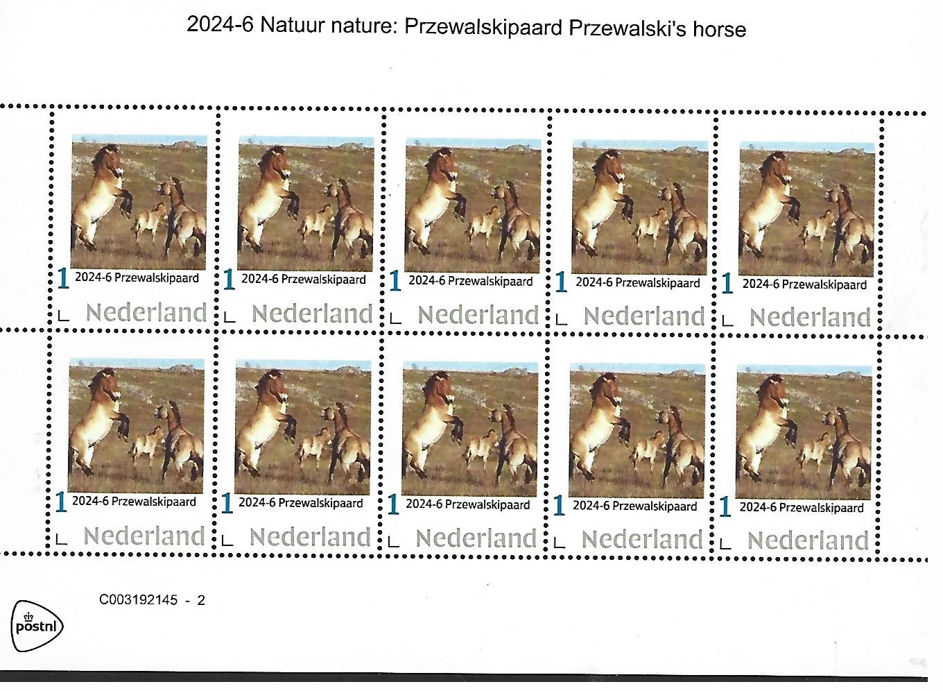 Niederlande 2024-6 Nature: Przewalski-Pferd Kleinbogen postfrisch/ungebraucht