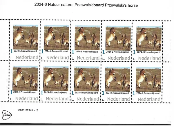 Nederland 2024-6 Nature: Przewalskipaard horse sheetlet postfris/mnh
