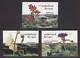 1970-1972 Zomerzegels, bloemen- flowers (zelfklevend uit mailer) 2001
