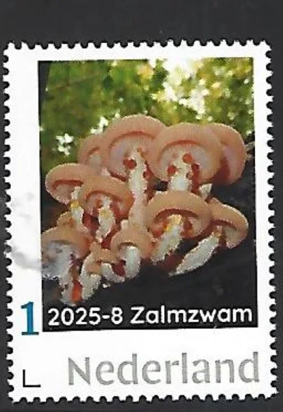Netherlands 2025-8 Wrinkled peach mushroom: MNH