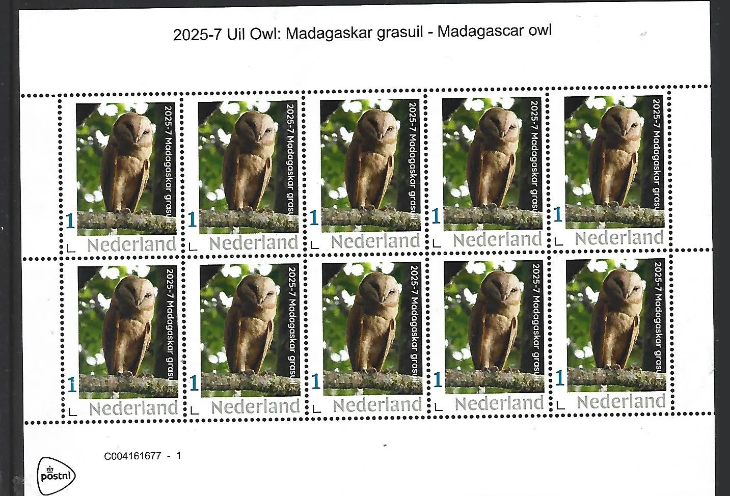 Netherlands 2025-7 Owl OP owl: Madagascar grass owl sheet MNH