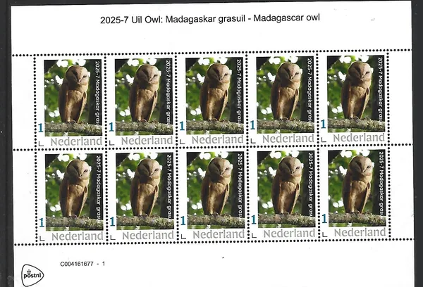 Netherlands 2025-7 Owl OP owl: Madagascar grass owl sheet MNH