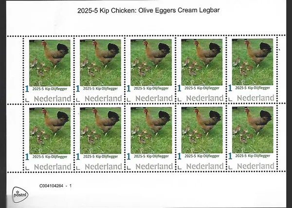 Nederland 2025-5 Kip Chicken: Olijflegger Olivegger sheet postfris/mnh