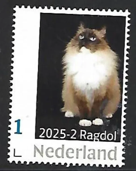 Netherlands 2025-2 Cat: Ragdoll MNH