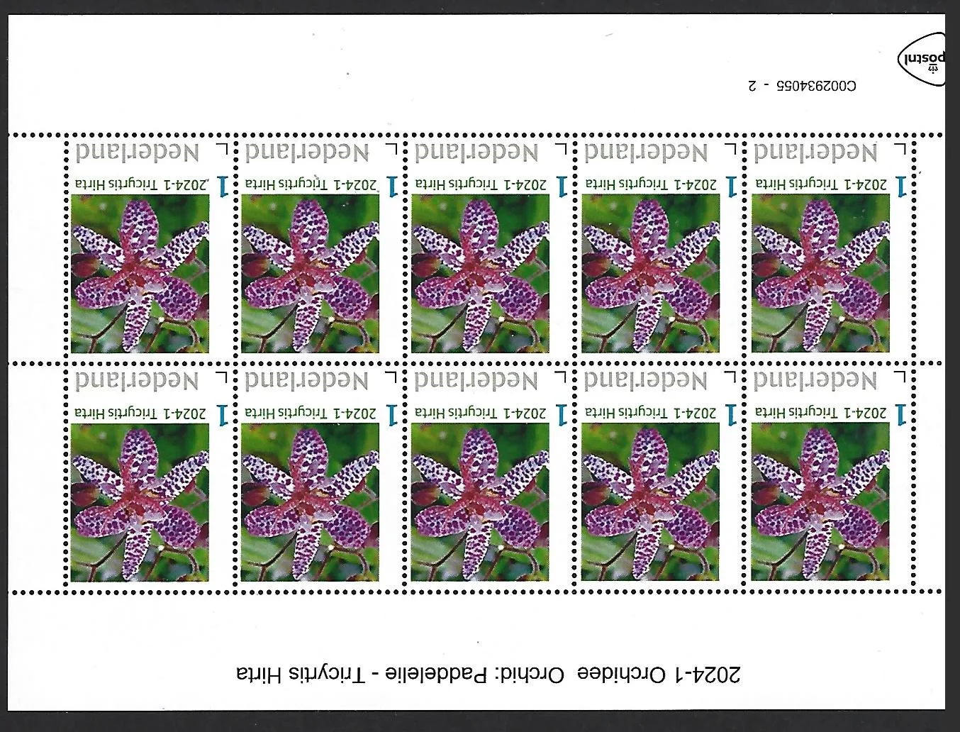 Niederlande 2024-1 Orchidee Orchidee: Paddelelie Bogen postfrisch/mnh