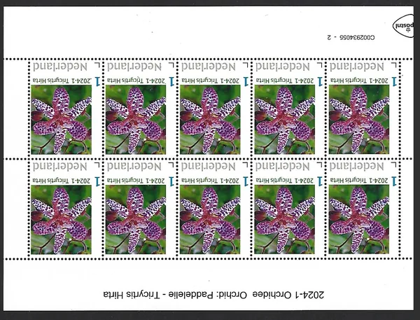Netherlands 2024-1 Orchid: Paddle Lily sheet MNH