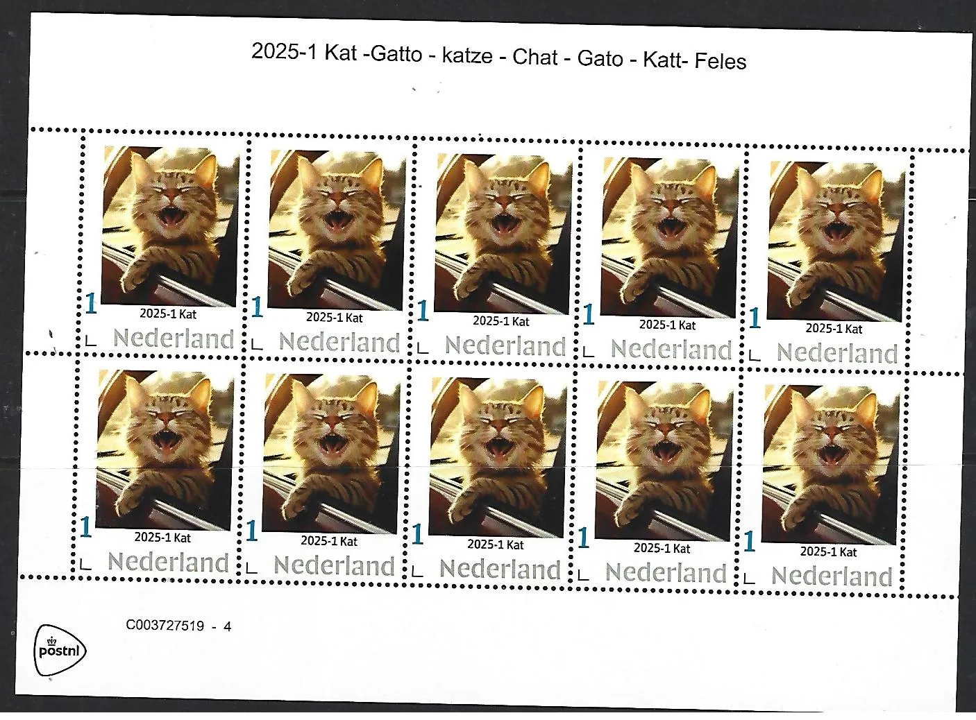Nederland 2025-1 Kat Cat sheetlet postfris/mnh
