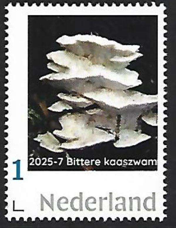 Netherlands 2025-7 Mushroom: MNH