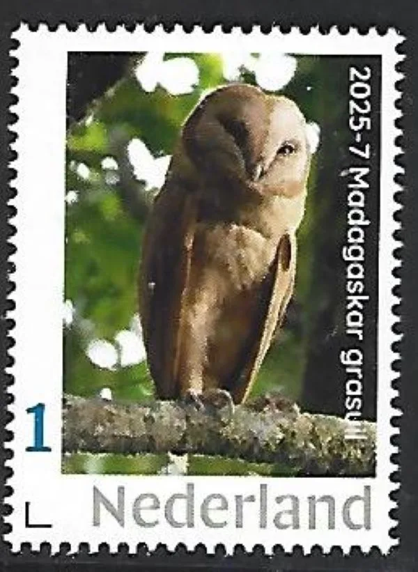 Nederland 2025-7 Uil OPwl: Madagascar grasuil postfris/mnh