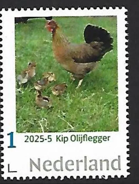Netherlands 2025-5 Chicken: Olive Carrier MNH