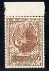56 20 years Meteorological station or island Amsterdam 1970 MNH
