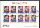 Nederland V2636 Persoonlijke postzegel NVPV vel/sheetlet 2009 gestempeld