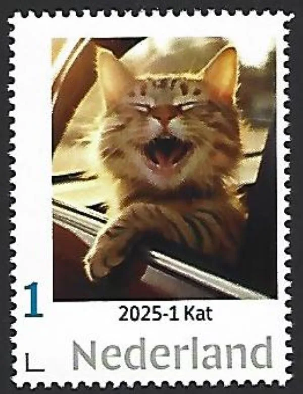 Netherlands 2025-1 Cat