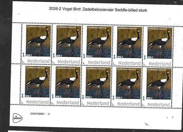 Netherlands 2026-2 Bird: Saddle-billed stork sheet MNH