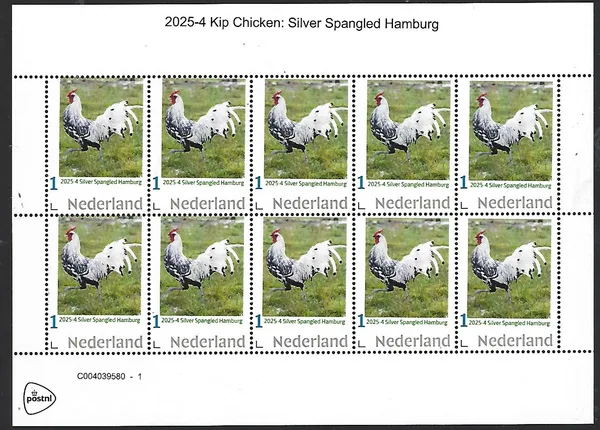 Netherlands 2025-4 Chicken: Silver spangled Hamburger sheet MNH