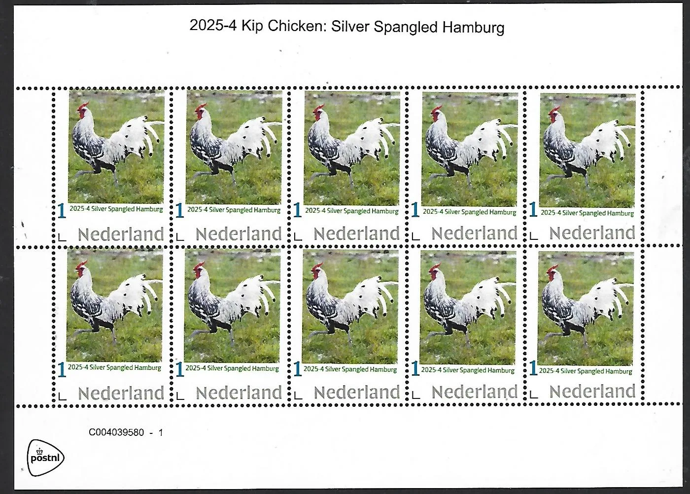 Netherlands 2025-4 Chicken: Silver spangled Hamburger sheet MNH