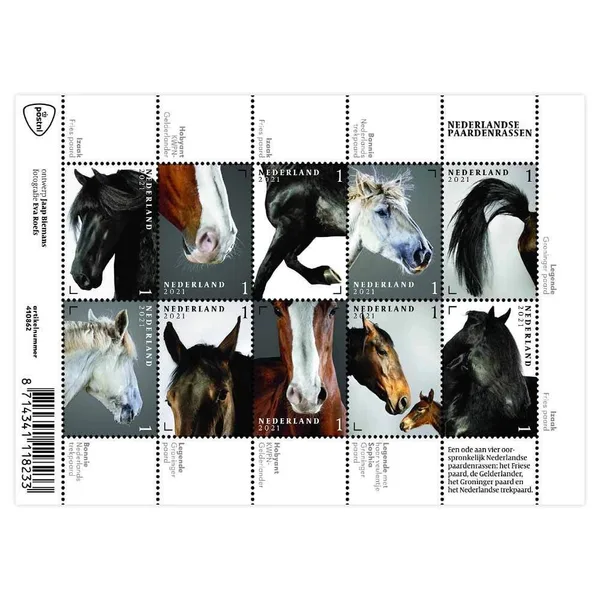 Nederland 2021 Paardenrassen V3965-3974 postfris.mnh8
