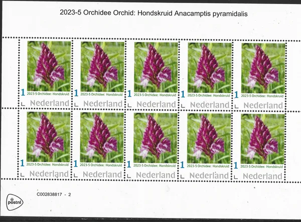 Netherlands 2023-5 Orchid: Cynoglossum sheet MNH