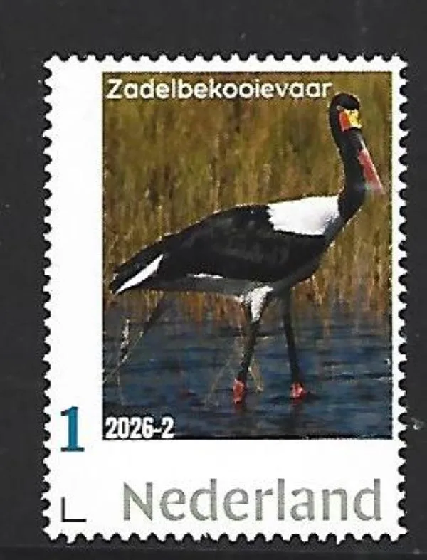 Nederland 2026-2 Vogel bird: Zadelbekooievaar Saddle-billed storch postfris/mnh