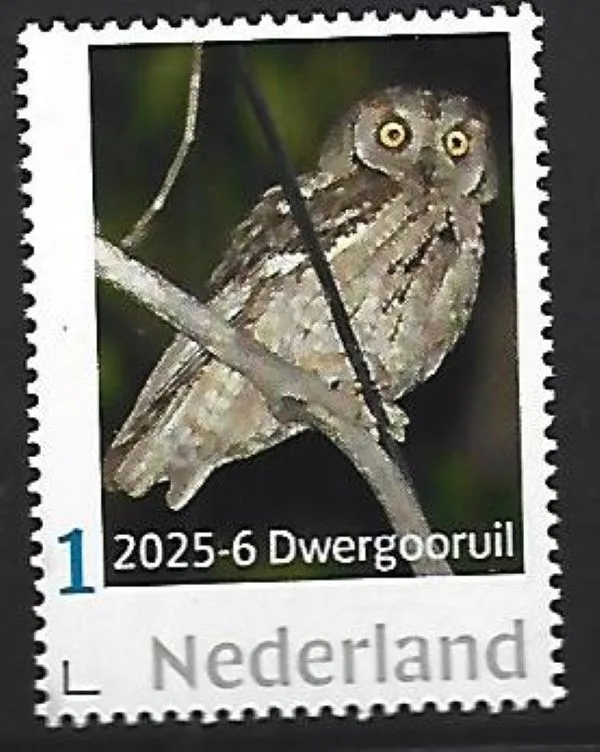 Netherlands 2025-6 Owl: Eurasian Scops Owl MNH