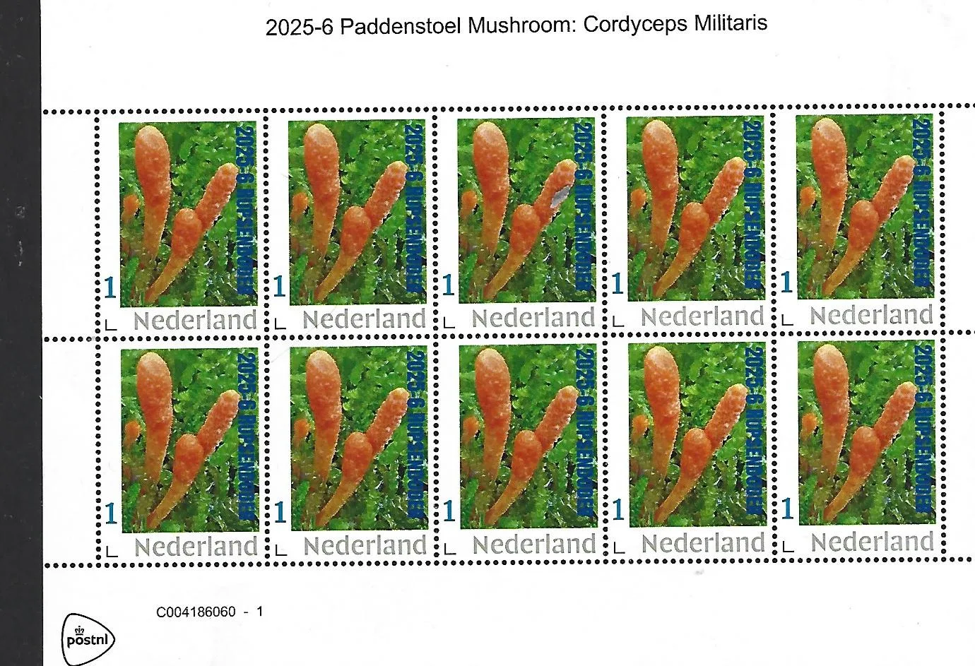 Nederland 2025-6 Paddenstoel Mushroom: sheetlet postfris/mnh