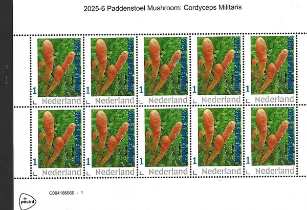 Netherlands 2025-6 Mushroom: sheetlet MNH
