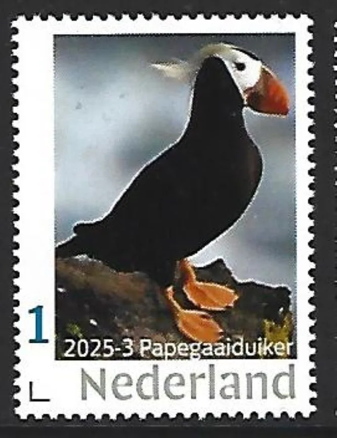 Netherlands 2025-3 Puffin MNH