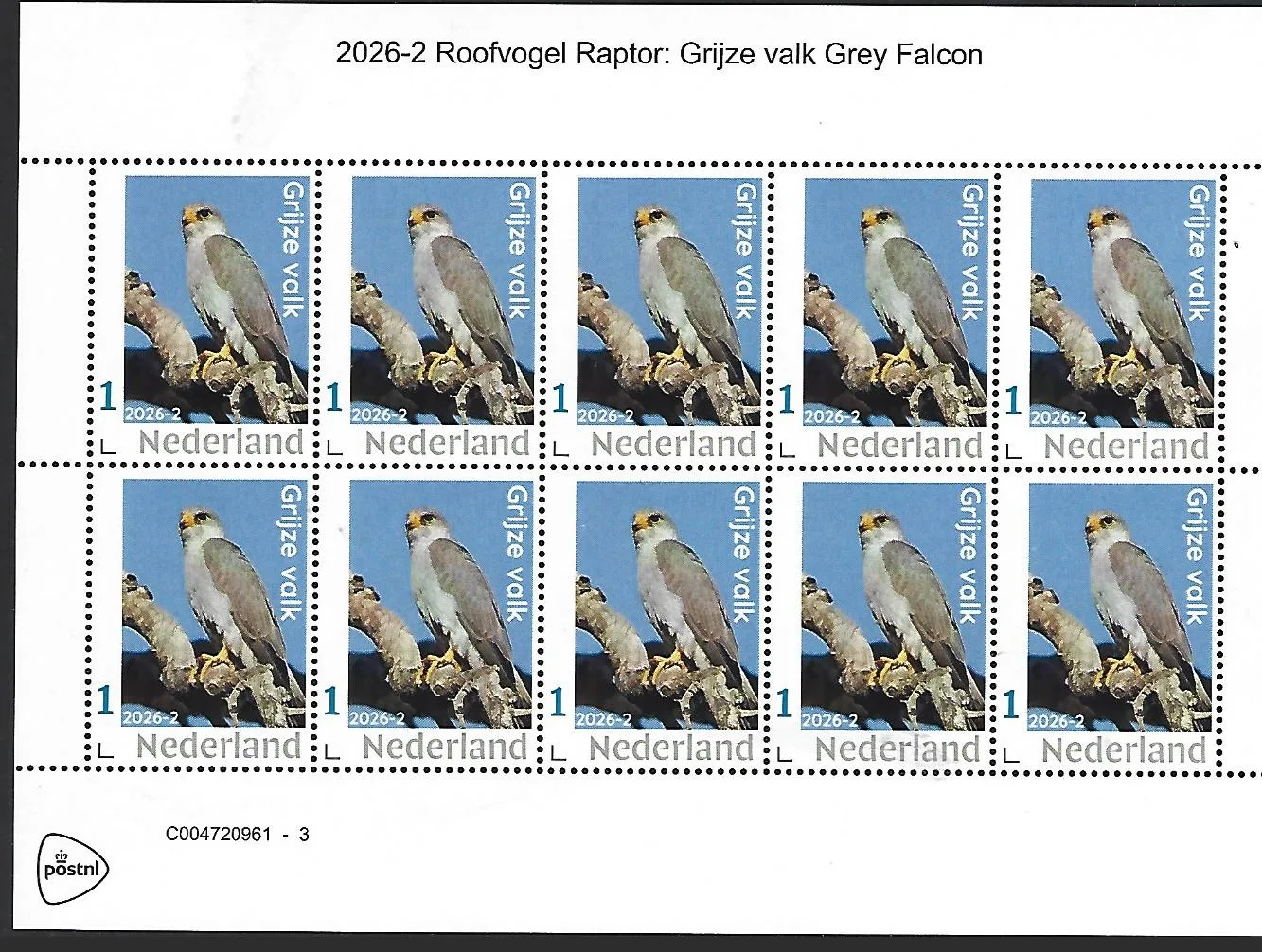 Netherlands 2026-2 Raptor Grey falcon sheet MNH