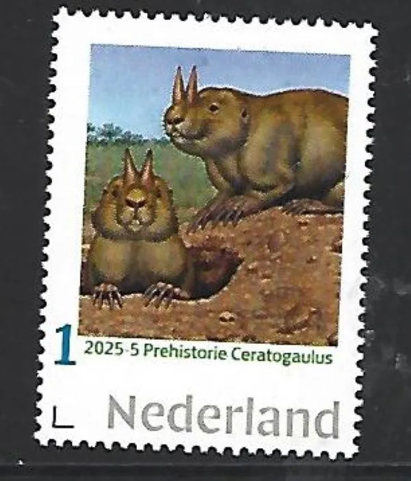 Netherlands 2025-5 Prehistory: Ceratogaulus MNH