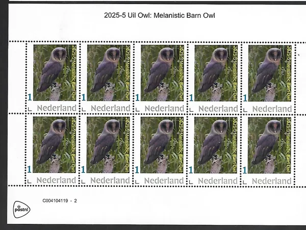 Netherlands 2025-5 Owl Melanistic Barn Owl sheetlet MNH